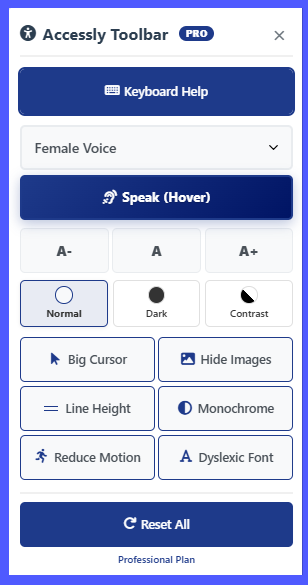 Accessly Accessibility Toolbar Interface showing text size, visual modes, and assistive tools
