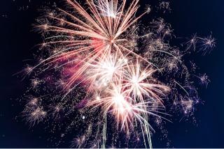 Sample image 7 - Forest Path